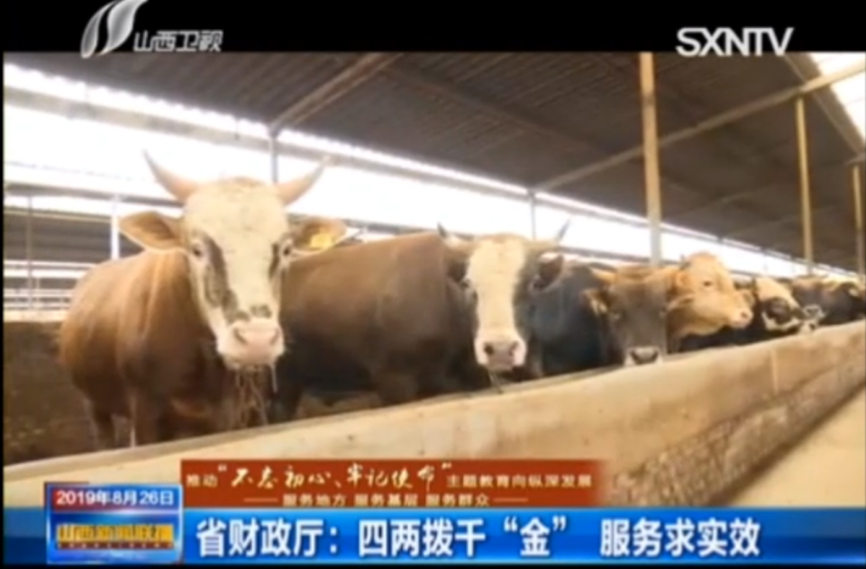 圖片4.png 圖片4.png