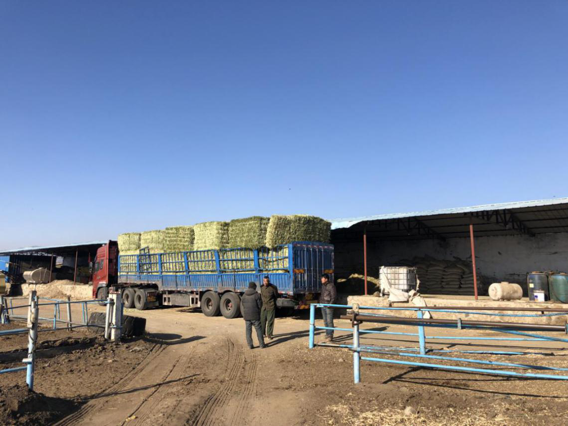 圖片10.png 圖片10.png