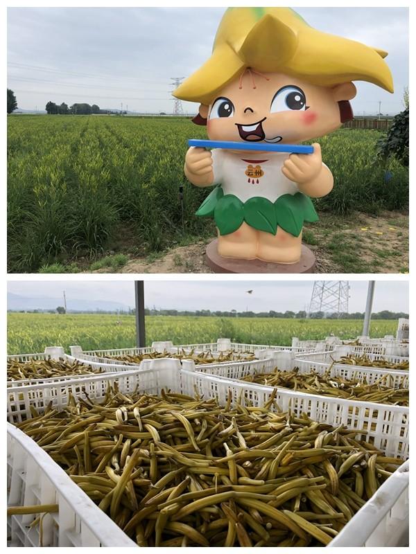 IMG_1656_副本_副本.jpg IMG_1656_副本_副本.jpg